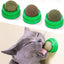 Catnip Wall Ball Cat Toy