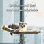 Window Cat Hammock Bed