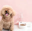 Automatic Pet Food & Water Bowl Set