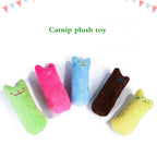 Catnip Plush Cat Chew Toy