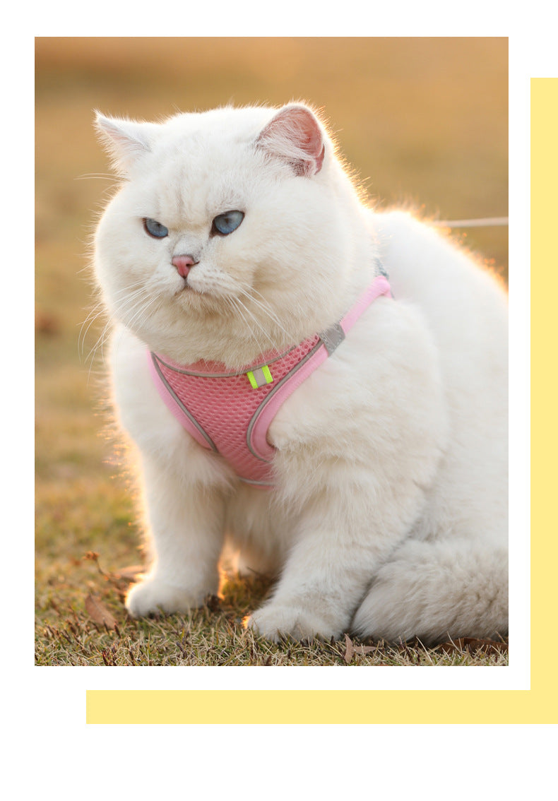 Adjustable Pet Harness Vest & Leash Set