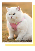 Adjustable Pet Harness Vest & Leash Set