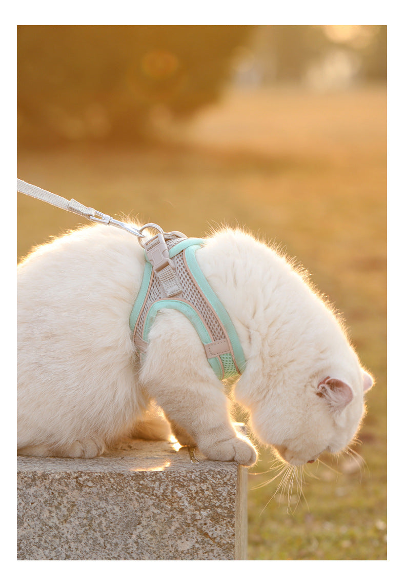 Adjustable Pet Harness Vest & Leash Set