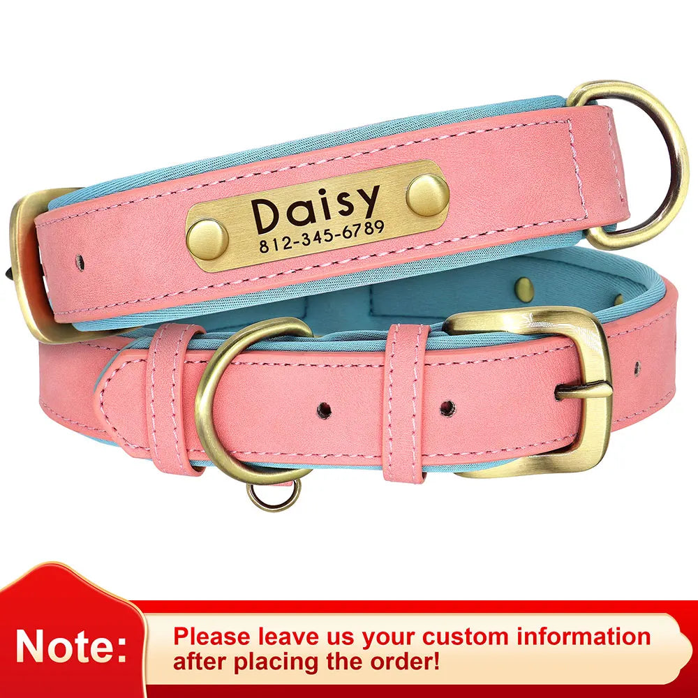 Personalized Engraved Dog Collar