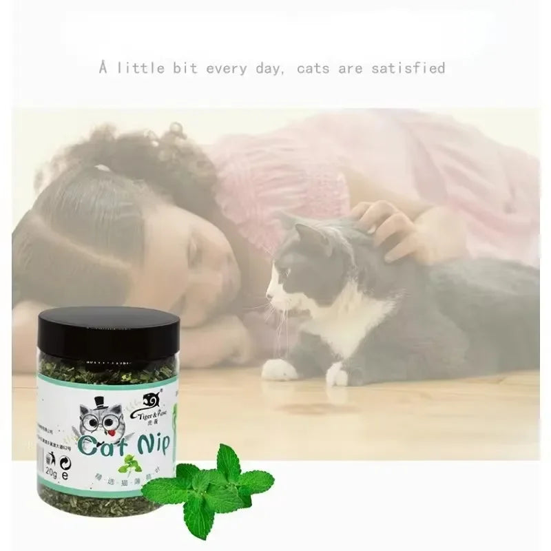 Natural Catnip Grass Toy Jar for Cats