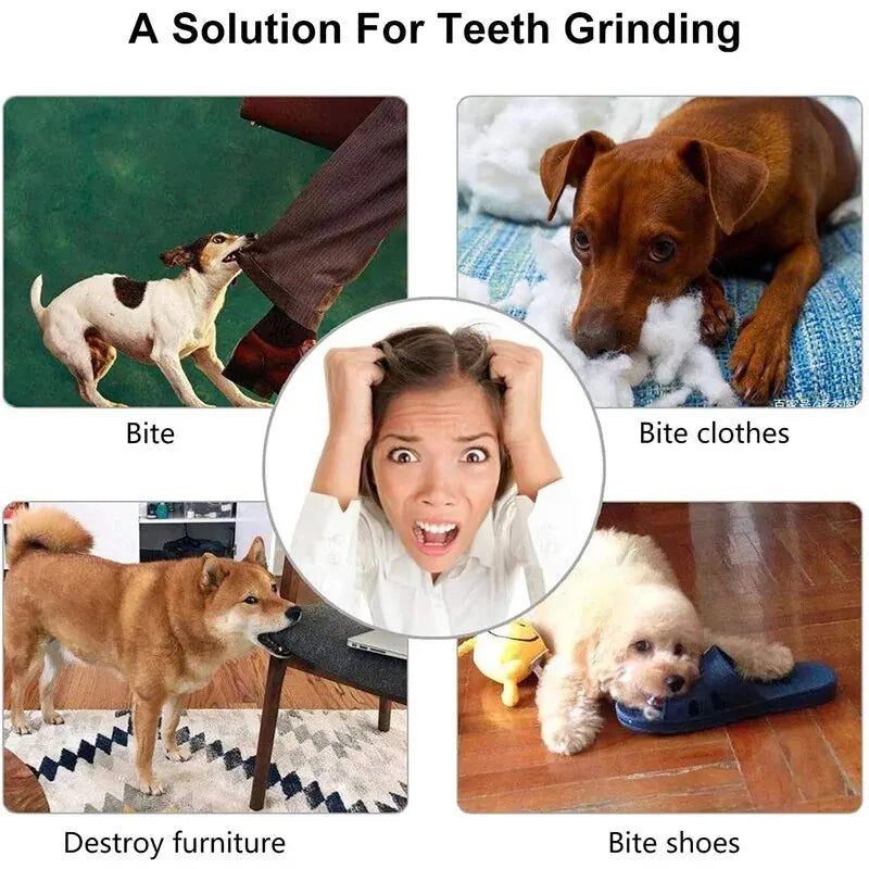 Dog Treat Dispensing Toy Ball