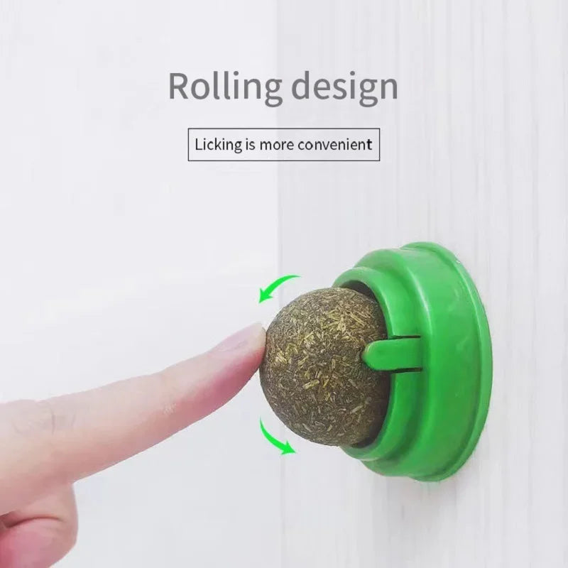 Catnip Wall Ball Cat Toy
