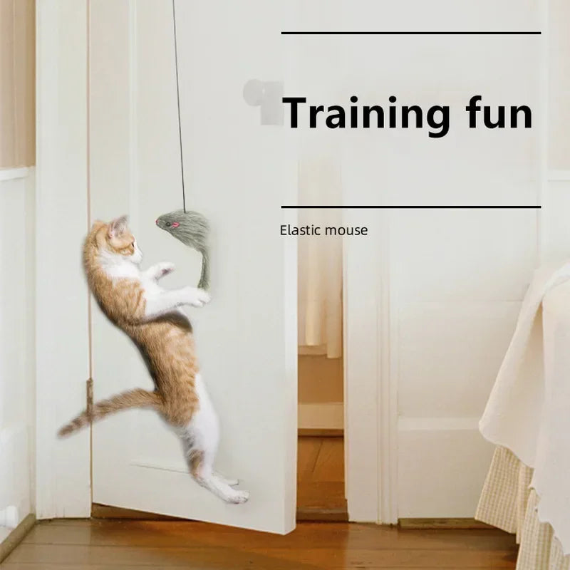 Door Hanging Mouse Cat Teaser Toy