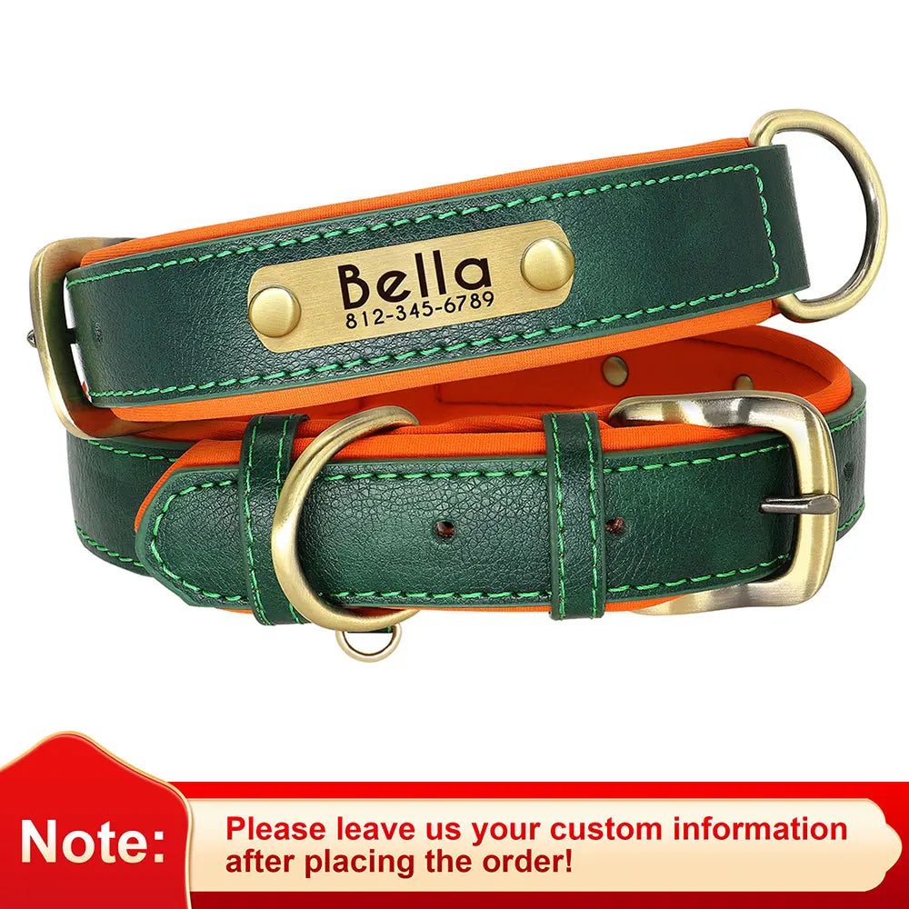 Personalized Engraved Dog Collar