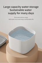 3L Filtered Cat Water Fountain