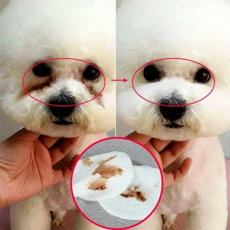 Gentle Pet Eye Wipes for Dogs and Cats