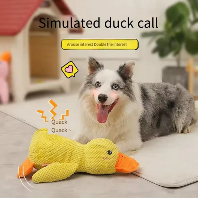 Duck Plush Dog Toy Main Image