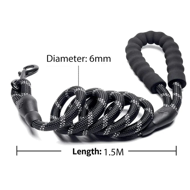 Reflective Dog Leash Main Image