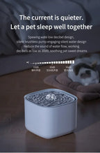 3L Filtered Cat Water Fountain