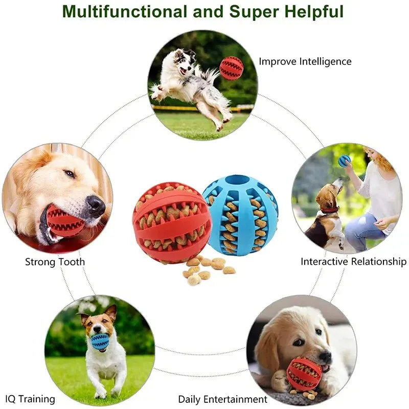 Dog Treat Dispensing Toy Ball