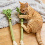 Catnip Chew Stick Cat Toy with Bell