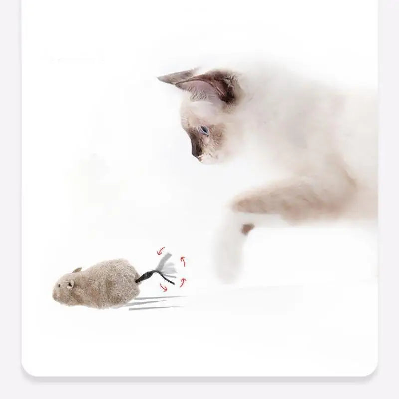 Plush Running Mouse Cat Toy