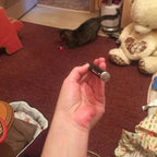 Cat Laser Pointer Toy with LED Flashlight