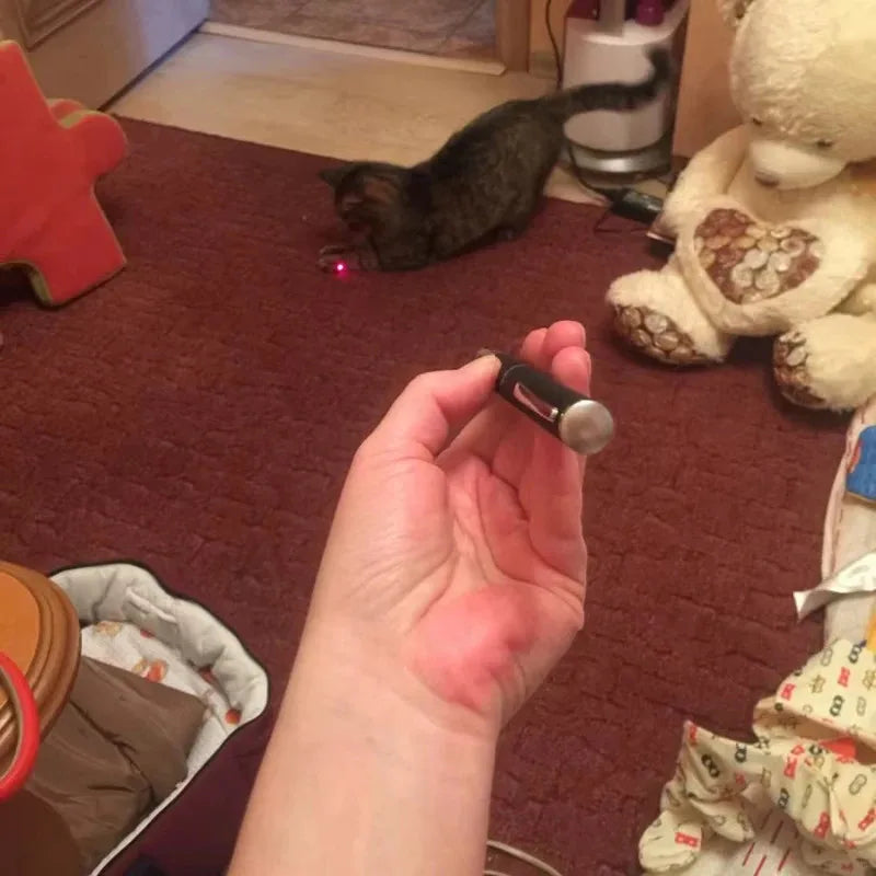 Cat Laser Pointer Toy with LED Flashlight
