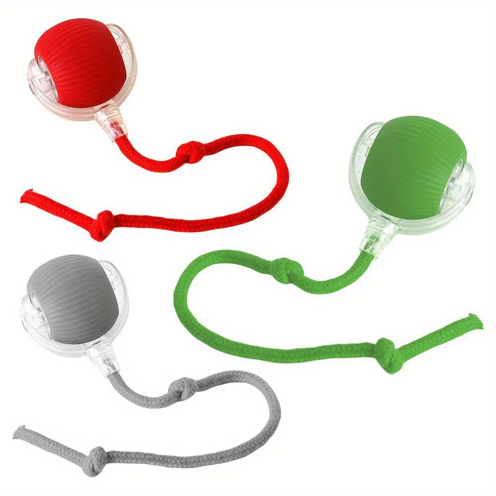 Rechargeable Interactive Cat Ball Toy