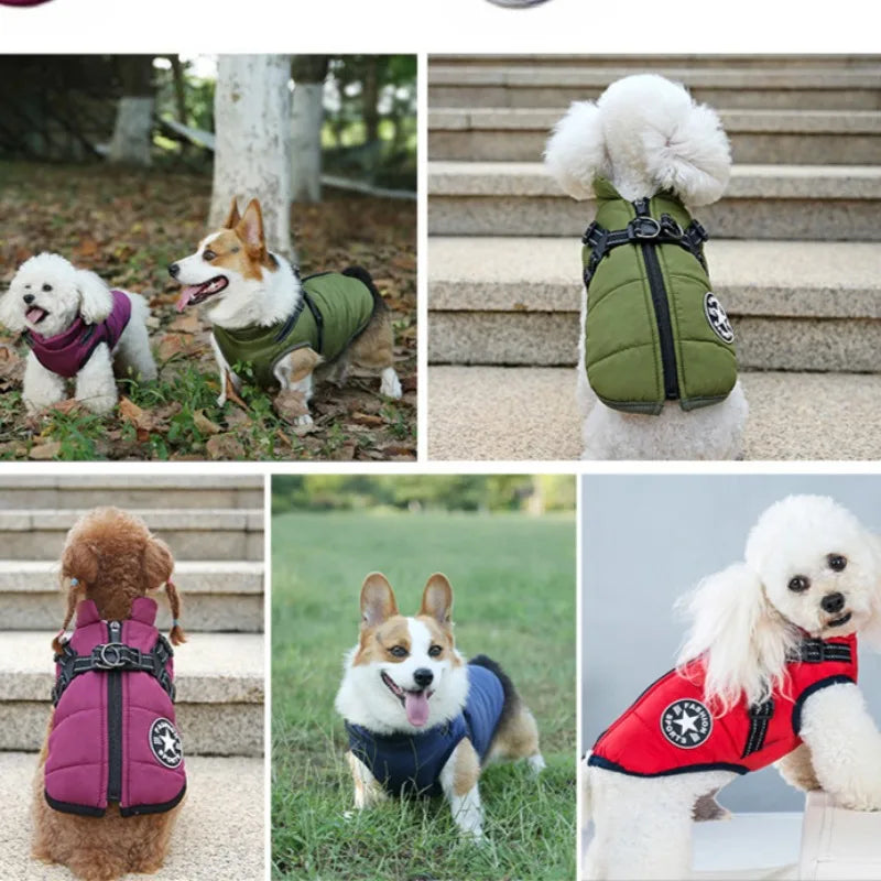 Dog Winter Jacket with Harness Ring