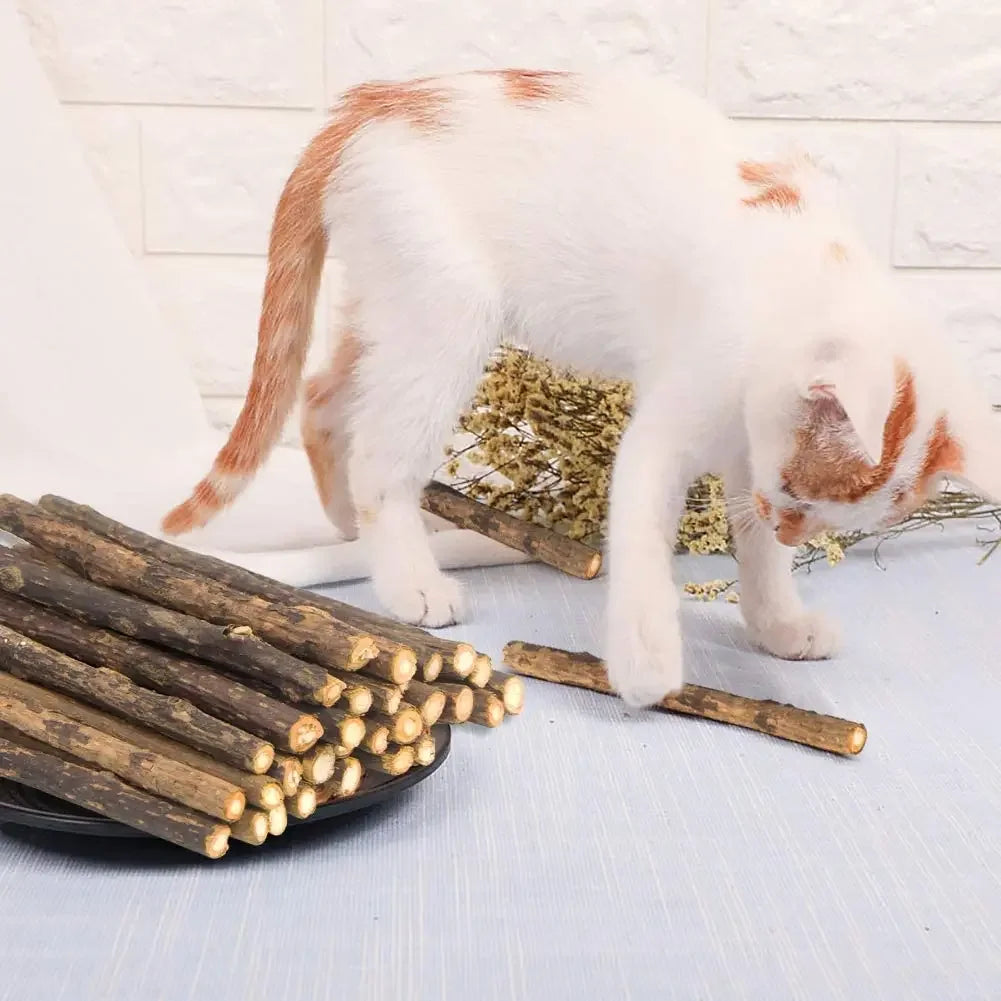 Matatabi Cat Chew Stick Set