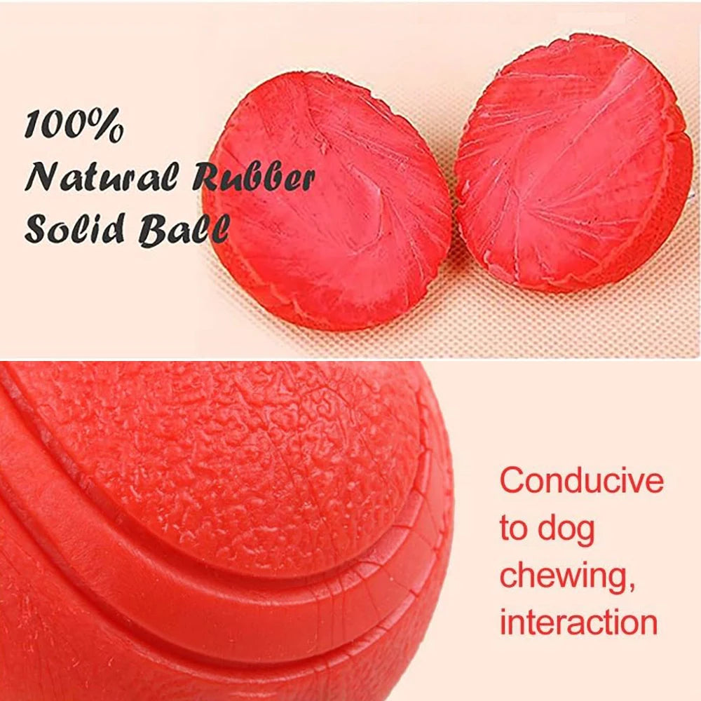 Bite-Resistant Rubber Dog Ball Toy