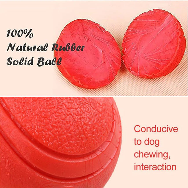 Bite-Resistant Rubber Dog Ball Toy Main Image