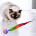 Rainbow Caterpillar Cat Ball Toy
