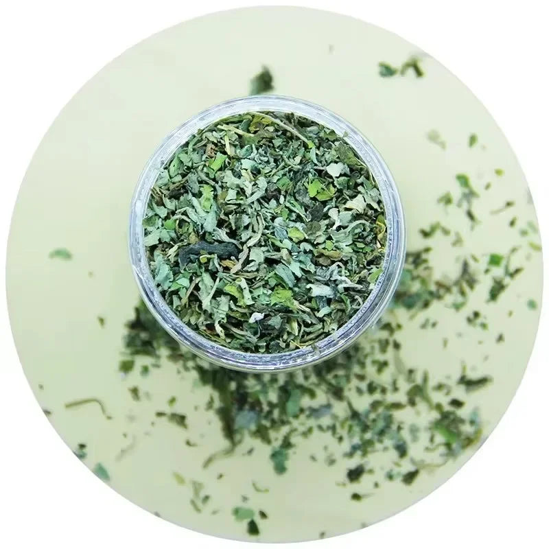 Natural Catnip Grass Toy Jar for Cats