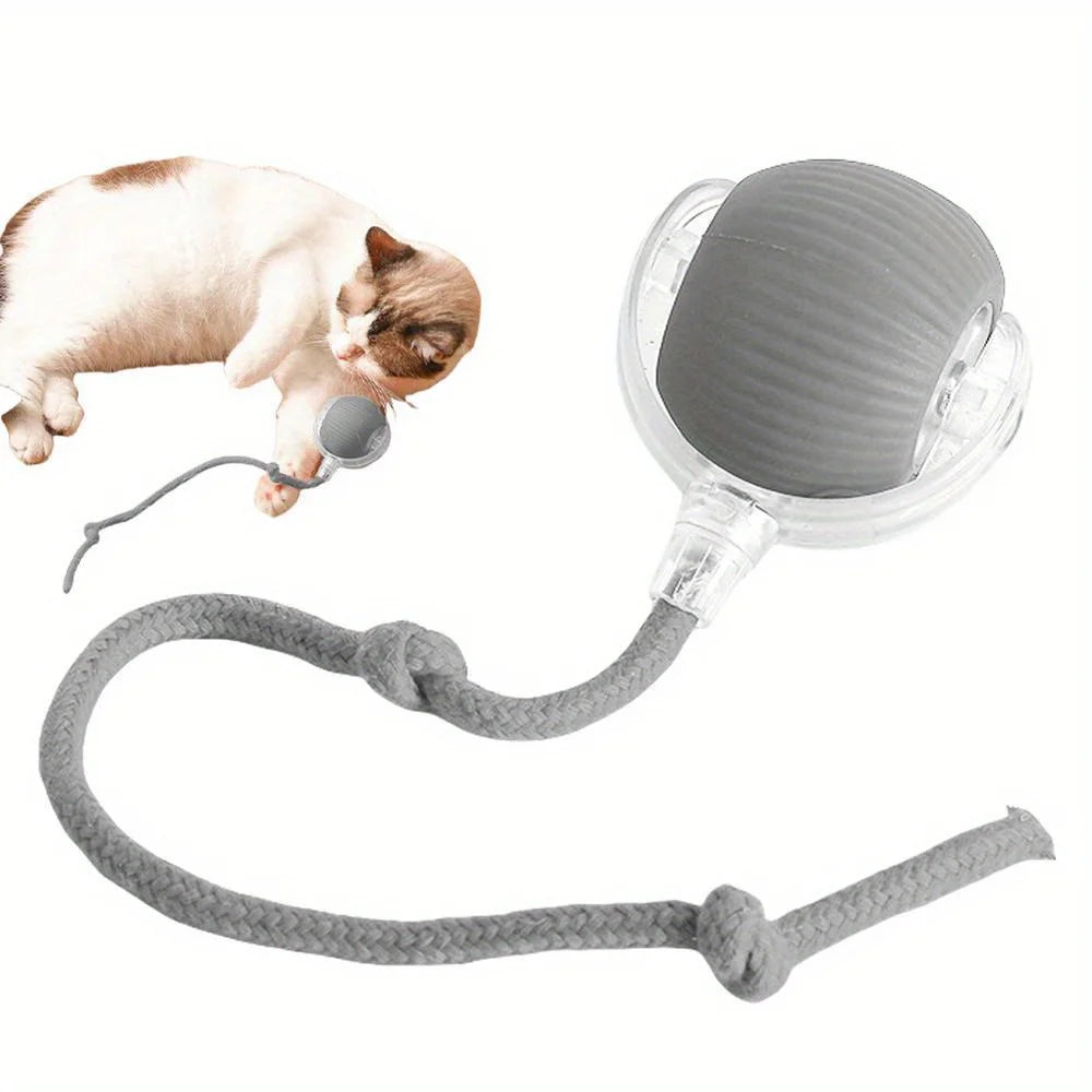 Rechargeable Interactive Cat Ball Toy