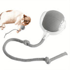 Rechargeable Interactive Cat Ball Toy