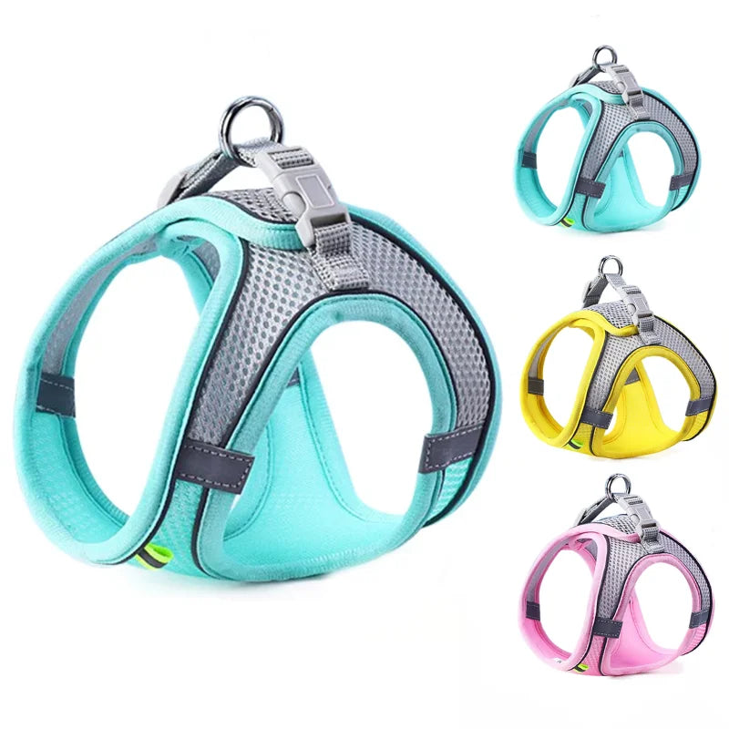 Adjustable Pet Harness Vest & Leash Set