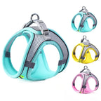 Adjustable Pet Harness Vest & Leash Set