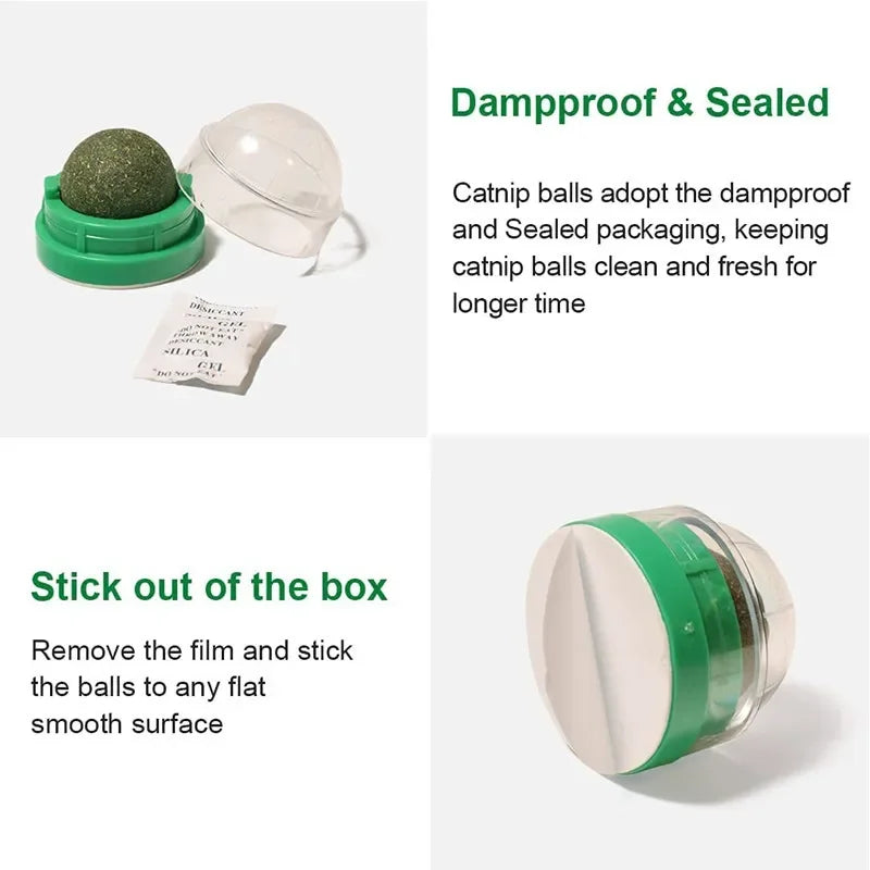 Catnip Wall Ball Cat Toy