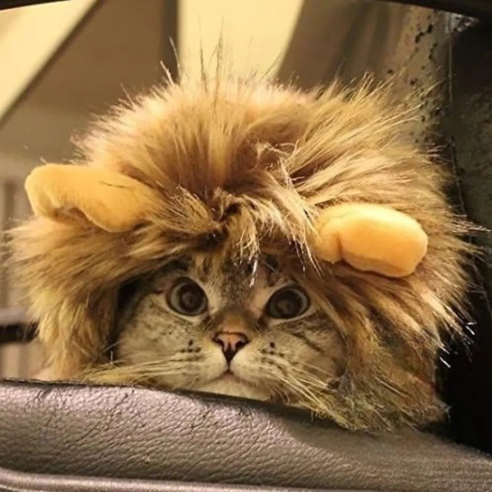 Lion Mane Pet Costume Wig