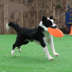 Soft Silicone Flying Disc Dog Toy