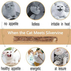 Matatabi Cat Chew Stick Set