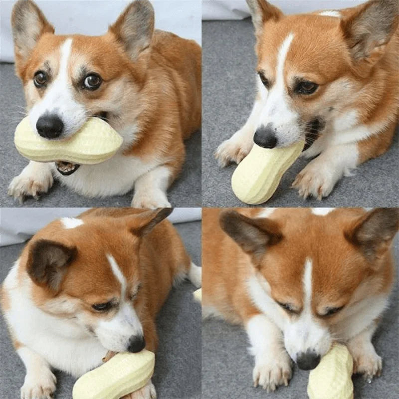 Peanut Dog Chew Toy