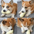 Peanut Dog Chew Toy