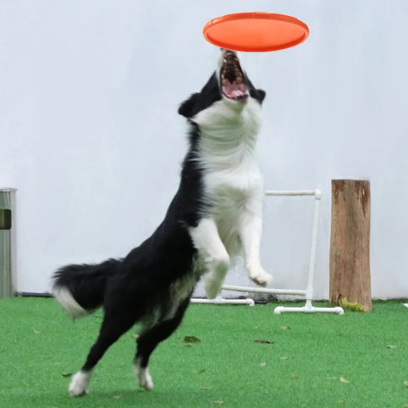Soft Silicone Flying Disc Dog Toy