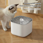 3L Filtered Cat Water Fountain