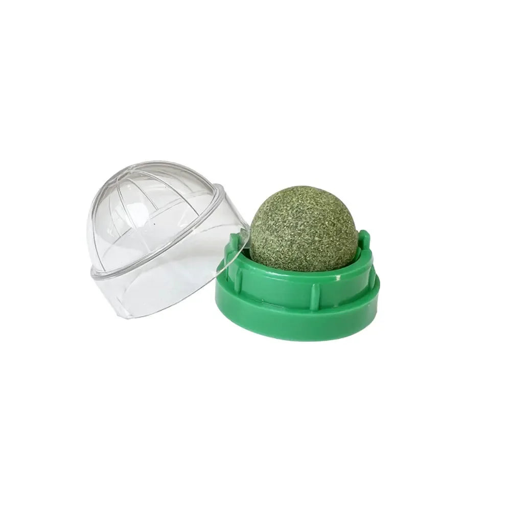 Catnip Wall Ball Cat Toy