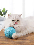 Sisal Cat Scratch Ball Toy