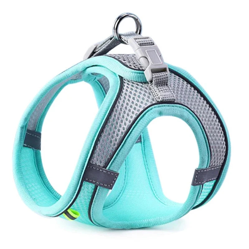 Adjustable Pet Harness Vest & Leash Set