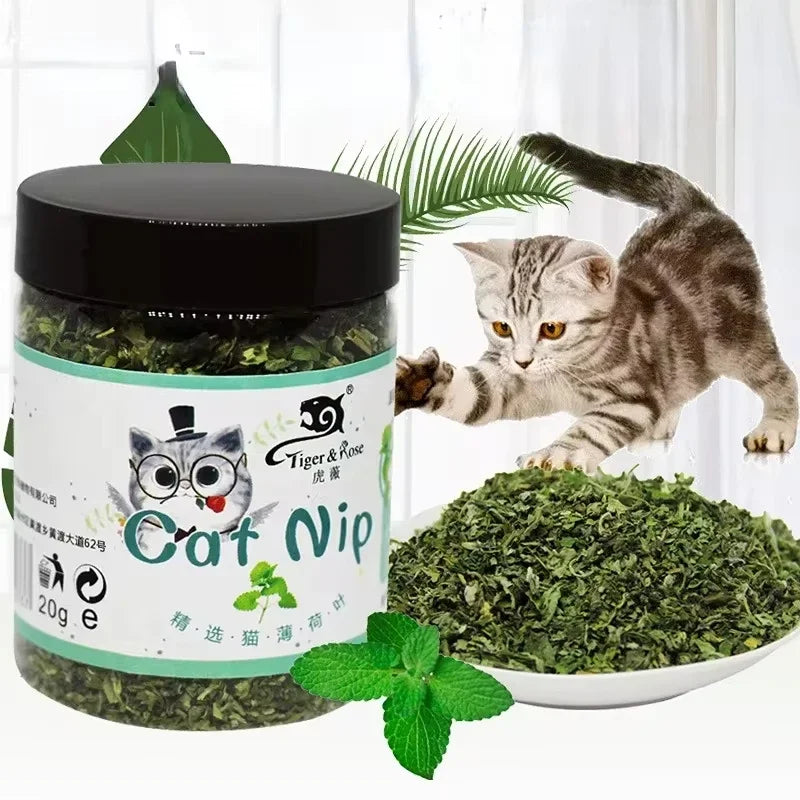 Natural Catnip Grass Toy Jar for Cats