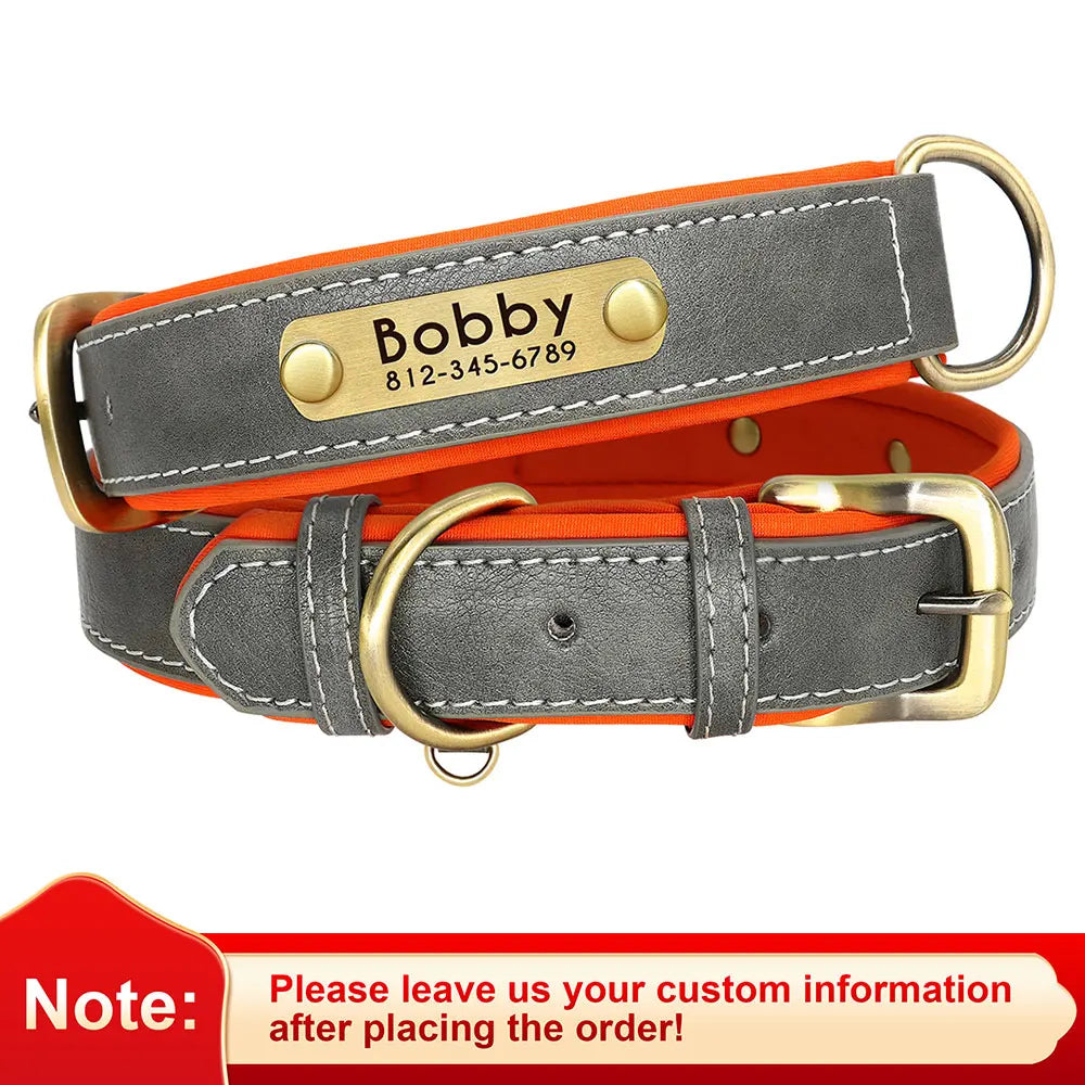 Personalized Engraved Dog Collar