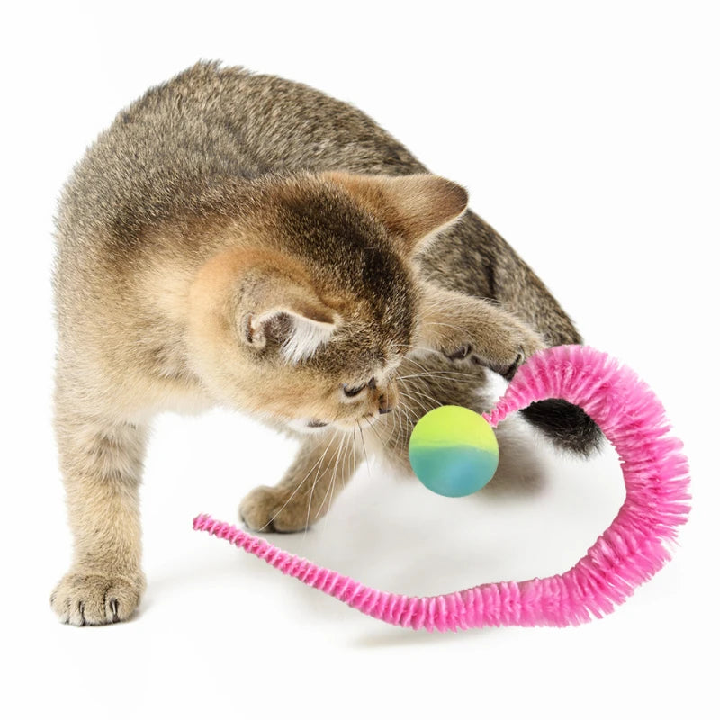 Rainbow Caterpillar Cat Ball Toy