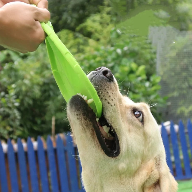 Soft Silicone Flying Disc Dog Toy