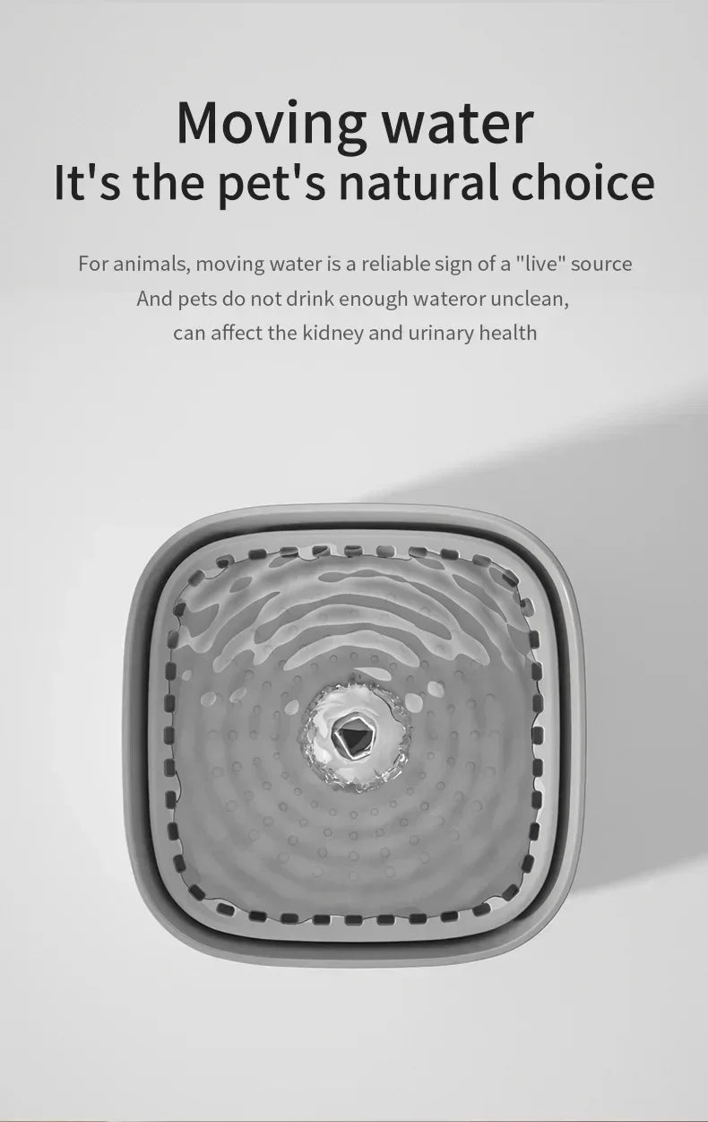 3L Filtered Cat Water Fountain